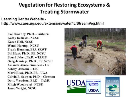 Vegetation for Restoring Ecosystems & Treating Stormwater Eve Brantley, Ph.D. – Auburn Kathy DeBusk - NCSU Karen Hall, NCSU Wendi Hartup - NCSU Frank Henning,