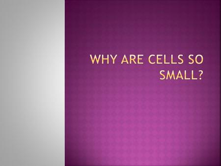  Having a smaller cell size means there is more surface area per unit of volume  This means more things can move across the membranes of the cell 