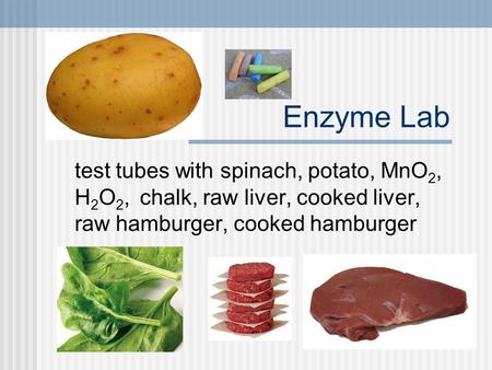 Enzyme Lab test tubes with spinach, potato, MnO2, H2O2, chalk, raw liver, cooked liver, raw hamburger, cooked hamburger.