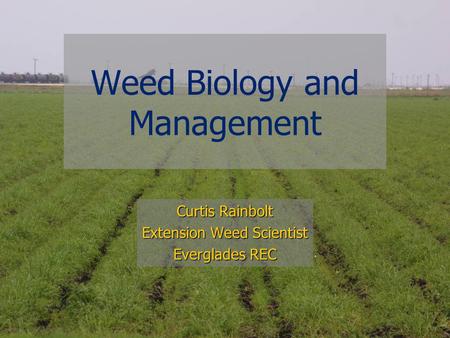 Weed Biology and Management