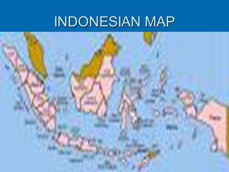 INDONESIAN MAP. ORGANIGRAM HEAD OFFICE SECRETARY PROGRAM, DATA & EVALUATION FINANCE DIV. LAW AND TRAINING H R DEV. BUSINESSES IN COOPERATIVE DEV.SMEs.