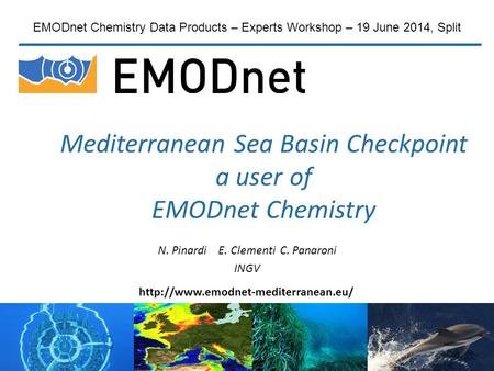 Mediterranean Sea Basin Checkpoint a user of EMODnet Chemistry N. Pinardi E. Clementi C. Panaroni INGV EMODnet Chemistry Data Products – Experts Workshop.