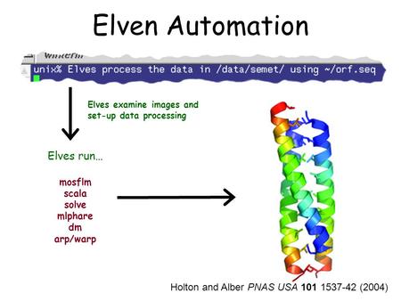 Elven Automation Elves examine images and set-up data processing Elves run… mosflm scala solve mlphare dm arp/warp Holton and Alber PNAS USA 101 1537-42.