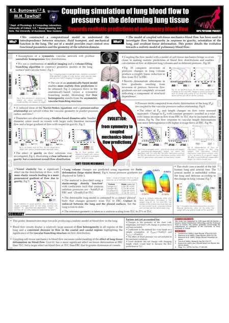 1 Coupling simulation of lung blood flow to pressure in the deforming lung tissue K.S. Burrowes 1,2 & M.H. Tawhai 2 1 Dept. of Physiology & Computing Laboratory,