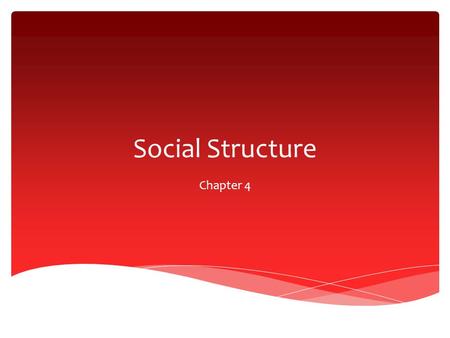 Social Structure Chapter 4.
