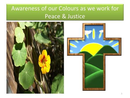 Awareness of our Colours as we work for Peace & Justice 1.
