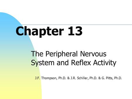 Chapter 13 The Peripheral Nervous System and Reflex Activity