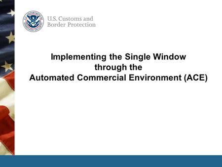 Implementing the Single Window through the Automated Commercial Environment (ACE)