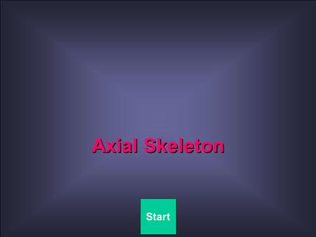 Axial Skeleton Start.