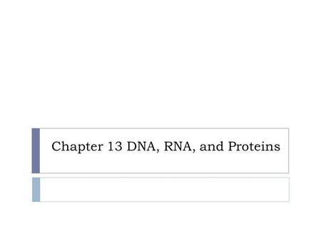 Chapter 13 DNA, RNA, and Proteins