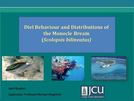 Diel Behaviour and Distributions of the Monocle Bream (Scolopsis bilineatus)
