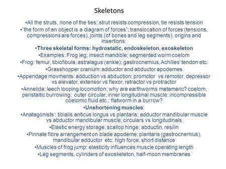 Skeletons All the struts, none of the ties; strut resists compression, tie resists tension “the form of an object is a diagram of forces”; translocation.