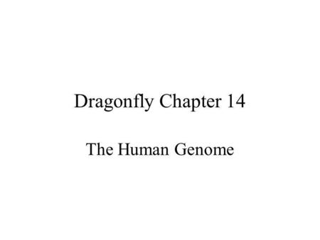 Dragonfly Chapter 14 The Human Genome.
