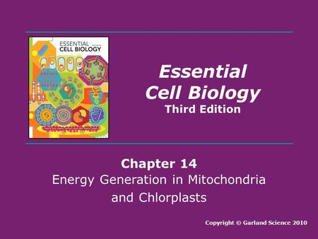 Energy Generation in Mitochondria and Chlorplasts