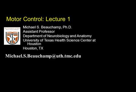 Michael S. Beauchamp, Ph.D. Assistant Professor Department of Neurobiology and Anatomy University of Texas Health Science Center at Houston Houston, TX.
