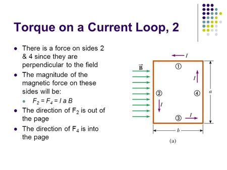 Torque on a Current Loop, 2