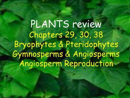 PLANTS review Chapters 29, 30, 38 Bryophytes & Pteridophytes Gymnosperms & Angiosperms Angiosperm Reproduction.