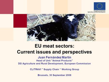 EU meat sectors: Current issues and perspectives Juan Fernández Martín Head of Unit Animal Products DG Agriculture and Rural Development, European Commission.
