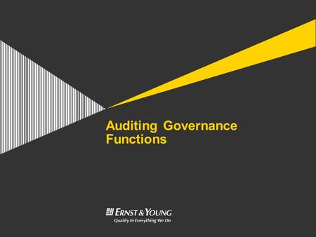 Auditing Governance Functions
