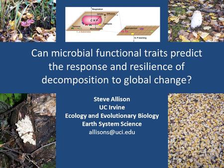 Can microbial functional traits predict the response and resilience of decomposition to global change? Steve Allison UC Irvine Ecology and Evolutionary.