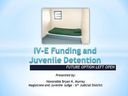 FUTURE OPTION LEFT OPEN Presented by: Honorable Bryan K. Murray Magistrate and Juvenile Judge - 6 th Judicial District.