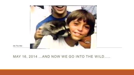 Into The Wild MAY 16, 2014 …AND NOW WE GO INTO THE WILD…..