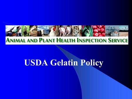 USDA Gelatin Policy.