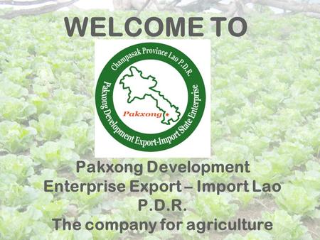 Pakxong Development Enterprise Export – Import Lao P.D.R. The company for agriculture WELCOME TO.