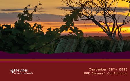 September 20 th, 2013 PVE Owners’ Conference. How do I get my wines outside the U.S.? How The Vines can help Led by Pablo Giménez Riili.
