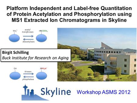 Platform Independent and Label-free Quantitation of Protein Acetylation and Phosphorylation using MS1 Extracted Ion Chromatograms in Skyline OHOPO 3 H.