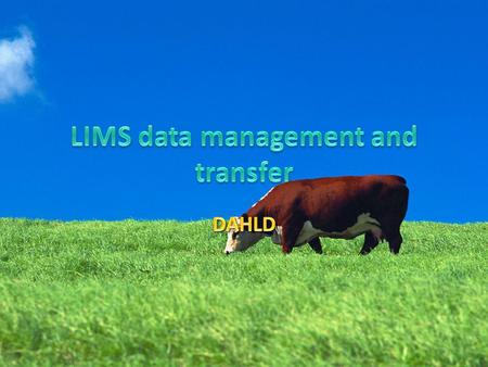 Data Transfer Data Import Data Export Database Backup and Restore Uninstalling and re-installing LIMS.