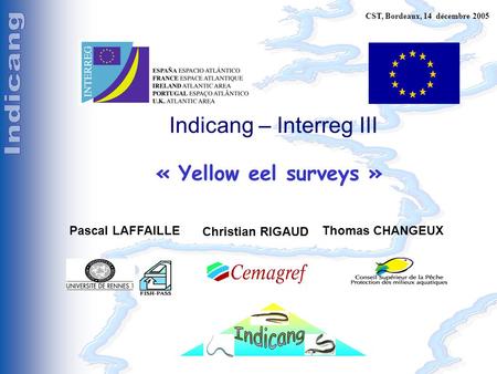 C. Pilotage, Bordeaux, 15 décembre 2005 Indicang – Interreg III « Yellow eel surveys » Pascal LAFFAILLEThomas CHANGEUX Christian RIGAUD CST, Bordeaux,