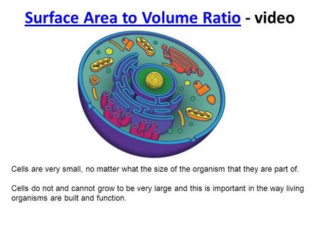 Surface Area to Volume Ratio - video