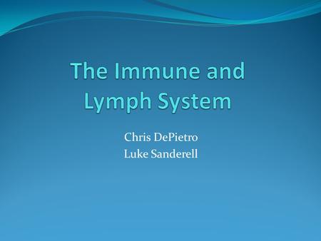The Immune and Lymph System