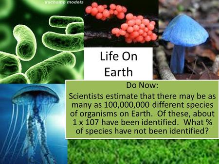 Life On Earth Do Now: Scientists estimate that there may be as many as 100,000,000 different species of organisms on Earth. Of these, about 1 x 107 have.