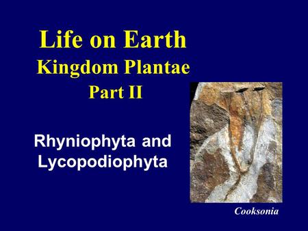 Life on Earth Kingdom Plantae Part II