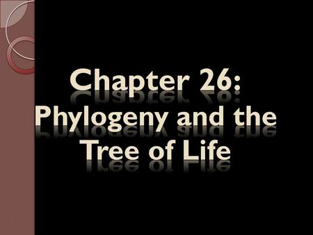 Chapter 26: Phylogeny and the Tree of Life