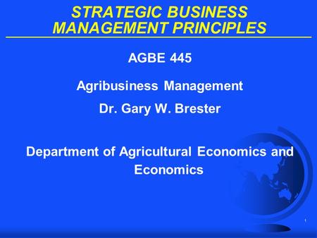 STRATEGIC BUSINESS MANAGEMENT PRINCIPLES