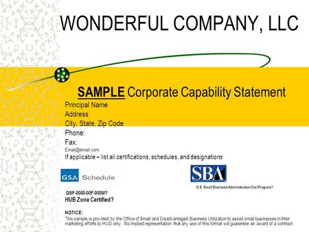 WONDERFUL COMPANY, LLC SAMPLE Corporate Capability Statement Principal Name Address City, State, Zip Code Phone: Fax: If applicable – list.