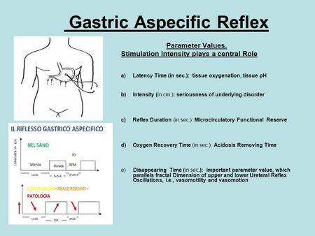 Gastric Aspecific Reflex Parameter Values. Stimulation Intensity plays a central Role a)Latency Time (in sec.): tissue oxygenation, tissue pH b)Intensity.