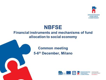 NBFSE Financial instruments and mechanisms of fund allocation to social economy Common meeting 5-6 th December, Milano.