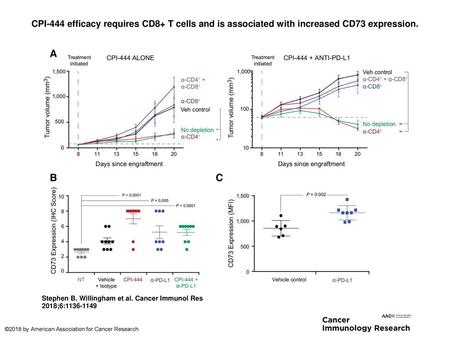 CPI-444 efficacy requires CD8+ T cells and is associated with increased CD73 expression. CPI-444 efficacy requires CD8+ T cells and is associated with.