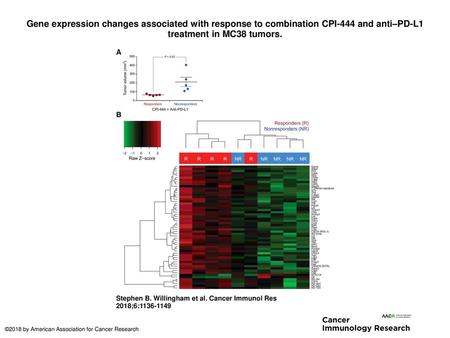 Gene expression changes associated with response to combination CPI-444 and anti–PD-L1 treatment in MC38 tumors. Gene expression changes associated with.