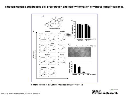 Thiocolchicoside suppresses cell proliferation and colony formation of various cancer cell lines. Thiocolchicoside suppresses cell proliferation and colony.