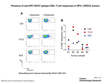 Presence of anti-HPV E6/E7 epitope CD8+ T-cell responses in HPV+ OPSCC tumors. Presence of anti-HPV E6/E7 epitope CD8+ T-cell responses in HPV+ OPSCC tumors.