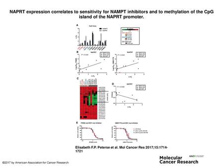 NAPRT expression correlates to sensitivity for NAMPT inhibitors and to methylation of the CpG island of the NAPRT promoter. NAPRT expression correlates.