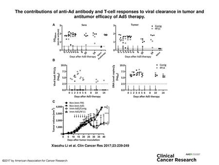 The contributions of anti-Ad antibody and T-cell responses to viral clearance in tumor and antitumor efficacy of Ad5 therapy. The contributions of anti-Ad.