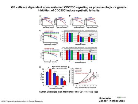 GR cells are dependent upon sustained CDC25C signaling as pharmacologic or genetic inhibition of CDC25C induce synthetic lethality. GR cells are dependent.
