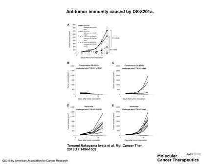 Antitumor immunity caused by DS-8201a.