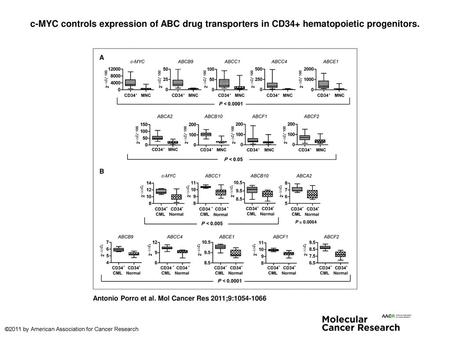 C-MYC controls expression of ABC drug transporters in CD34+ hematopoietic progenitors. c-MYC controls expression of ABC drug transporters in CD34+ hematopoietic.